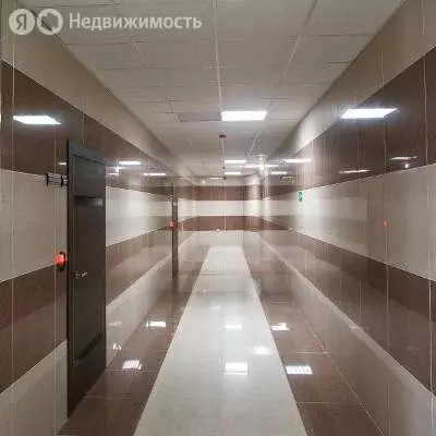 Офис (564.7 м) - Фото 2