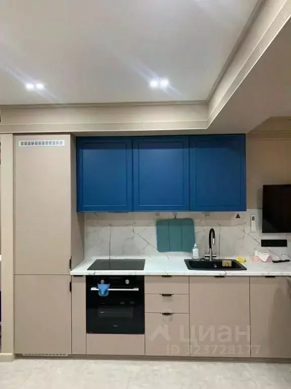 1-к кв. Краснодарский край, Сочи городской округ, Дагомыс пгт ул. ... - Фото 1