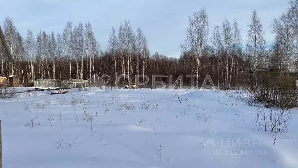 Участок в Тюменская область, Нижнетавдинский район, Сочинские СНТ 8-я ... - Фото 0