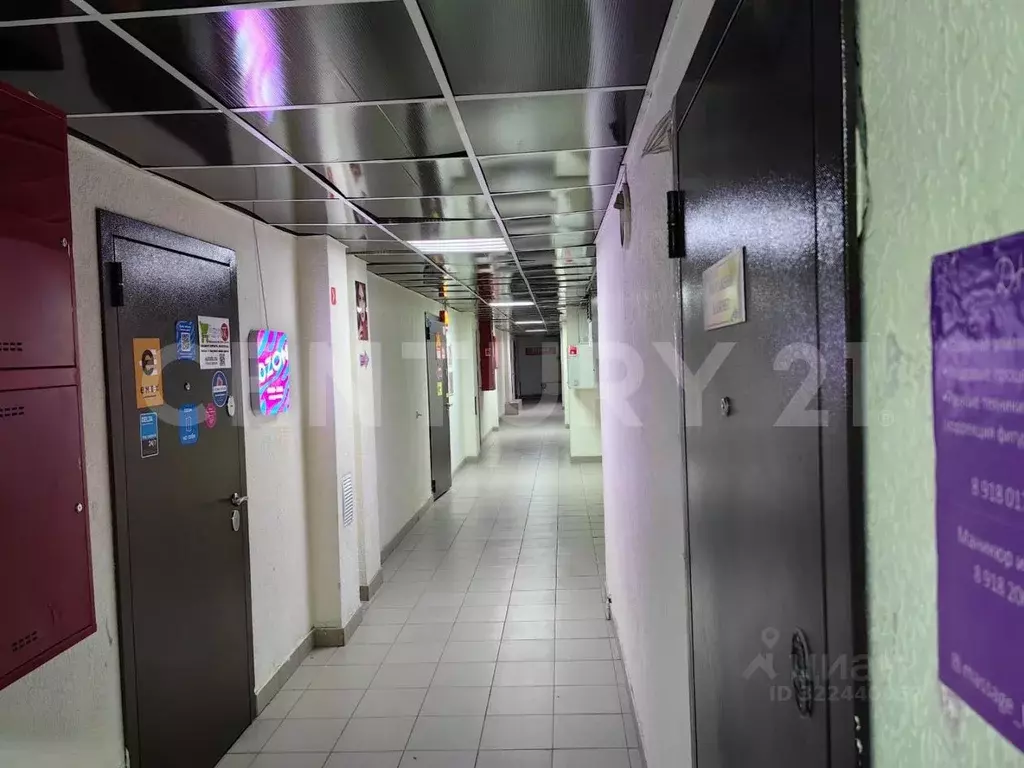 Офис в Краснодарский край, Краснодар Российская ул., 267к3 (31 м) - Фото 2