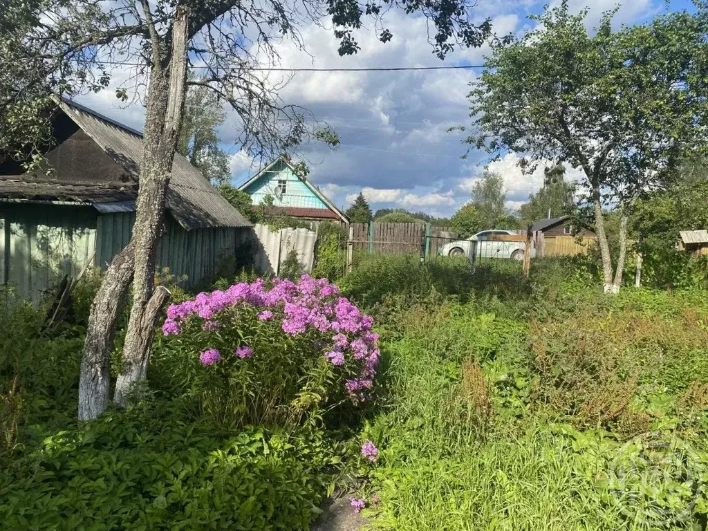 Участок в Ленинградская область, Лужский район, Серебрянское с/пос, д. ... - Фото 1