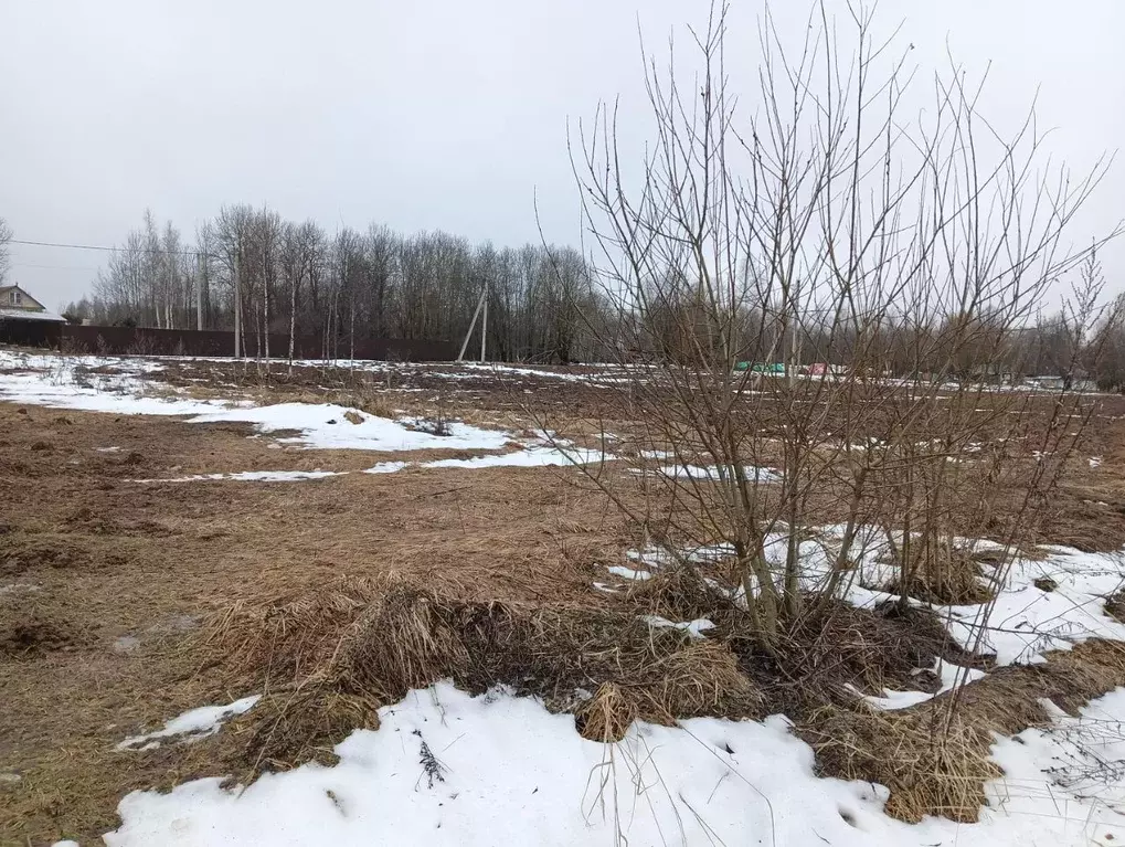 Участок в Московская область, Клин городской округ, д. Павельцево  ... - Фото 0