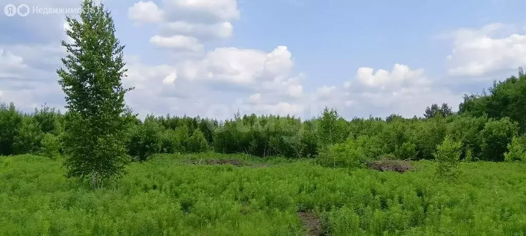 Участок в Кемеровский муниципальный округ, деревня Александровка, ... - Фото 1