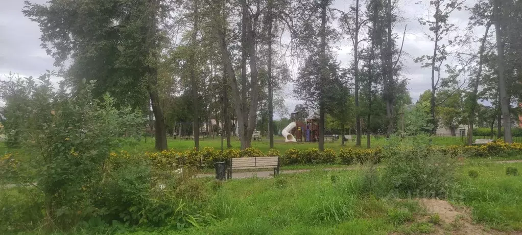 2-к кв. Псковская область, Новосокольники Садовая ул., 25 (61.5 м) - Фото 1