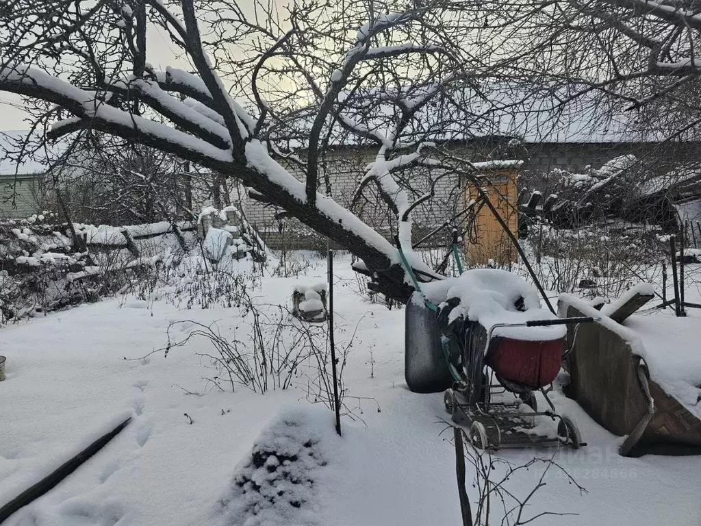 Дом в Волгоградская область, Волгоград Белостокская ул. (67 м) - Фото 1