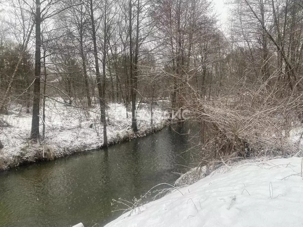 Участок в Бессоновский район, посёлок Подлесный (15 м) - Фото 0