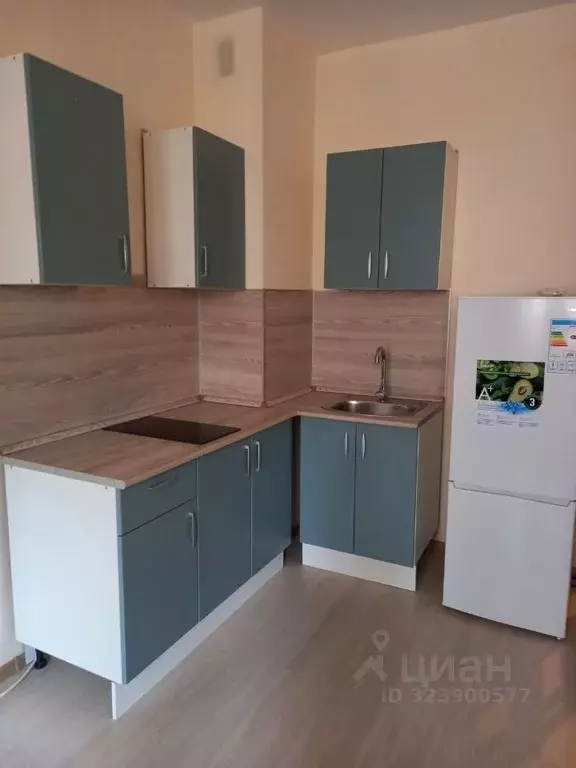 Студия Ленинградская область, Мурино Всеволожский район, бул. ... - Фото 2