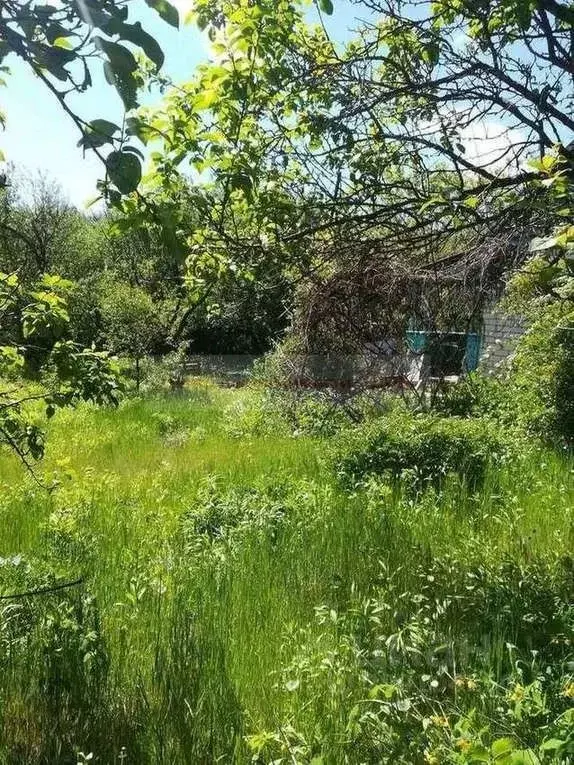 Дом в Белгородская область, Белгород Луч садовое товарищество, ул. ... - Фото 0