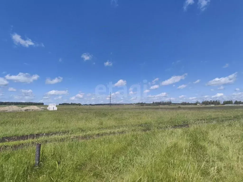 Участок в Челябинская область, Еманжелинск Западная ул., 23 (10.0 ... - Фото 1