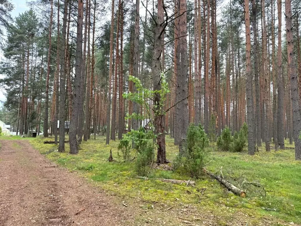Участок в Череповец, Зашекснинский район, 105-й микрорайон (16.5 м) - Фото 1