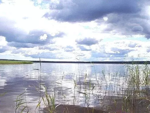 Участок в Ромашкинское сельское поселение (200 м) - Фото 1