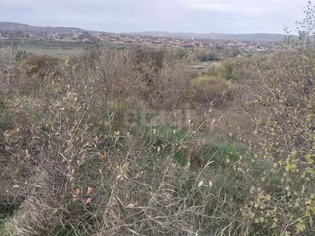 Участок в Ингушетия, Назрановский район, с. Яндаре  (70.0 сот.) - Фото 1