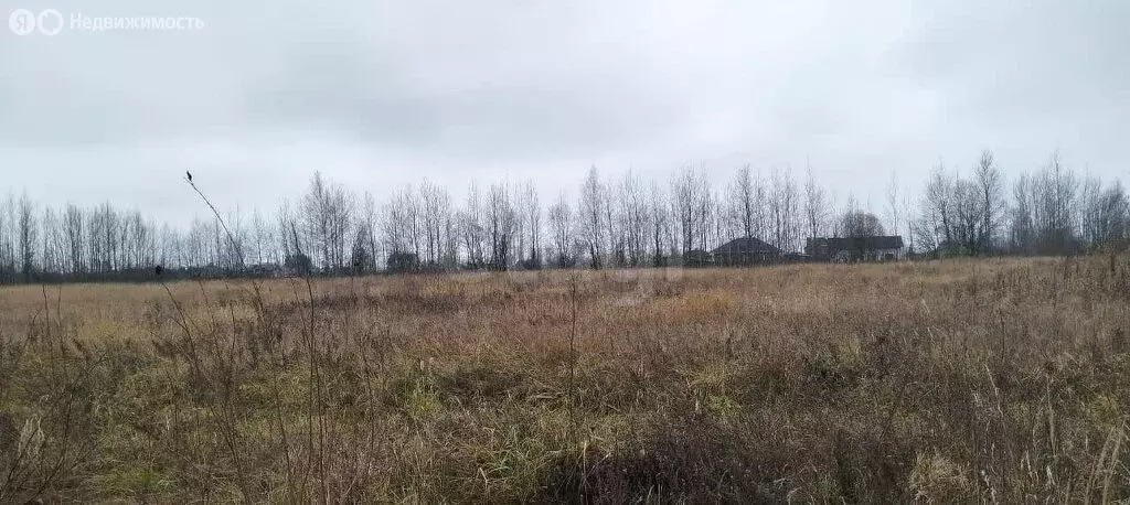 Участок в Ярославский муниципальный округ, деревня Суринское (7.82 м) - Фото 2