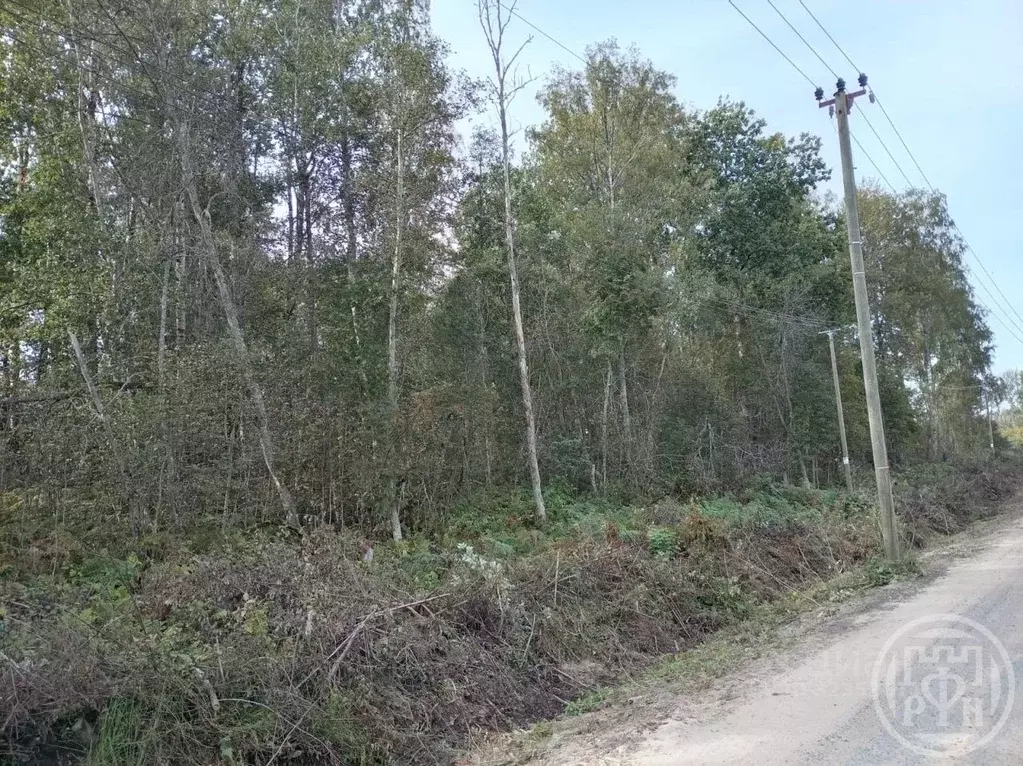 Участок в Ленинградская область, Всеволожский район, Агалатовское ... - Фото 1