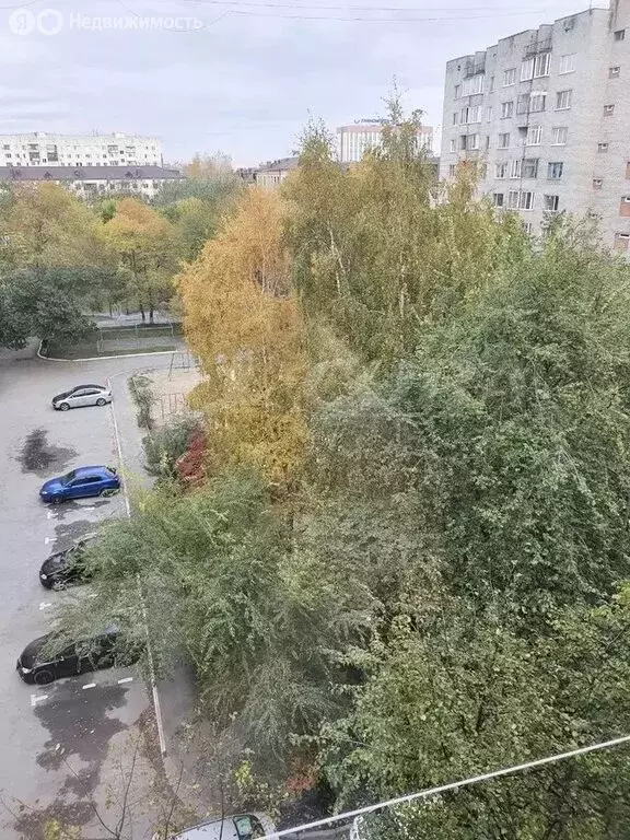 1-комнатная квартира: Тюмень, улица Седова, 66 (15.5 м) - Фото 0