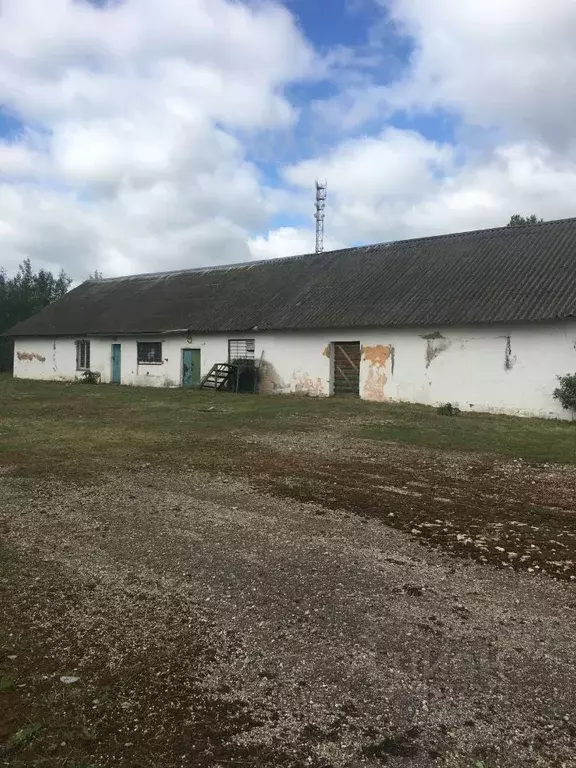 Склад в Новгородская область, Шимск рп ул. Вокзальная, 7 (306 м) - Фото 0