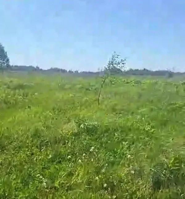 Участок в Московская область, Можайский муниципальный округ, д. ... - Фото 0