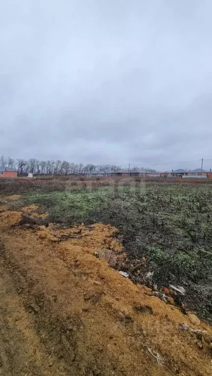 Участок в Ростовская область, Мясниковский район, Красный Крым хут. ... - Фото 0