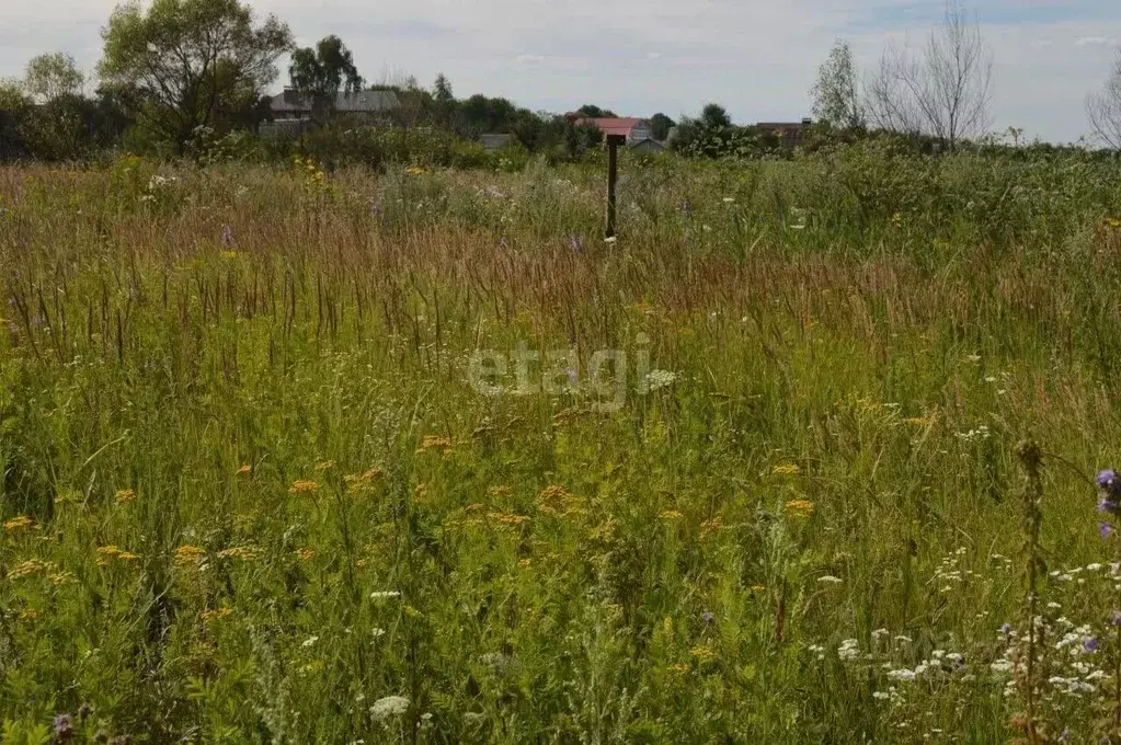 Участок в Белгородская область, Белгородский район, Поселок Разумное ... - Фото 0