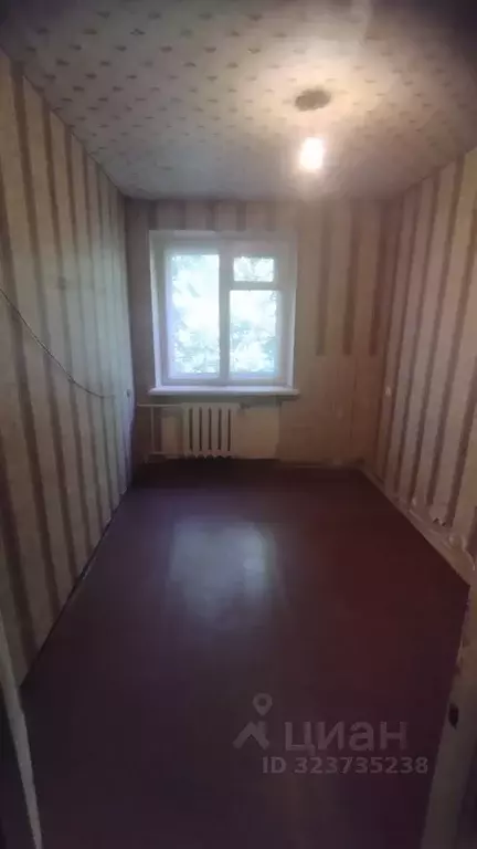 Комната Московская область, Люберцы городской округ, Томилино пгт ул. ... - Фото 1