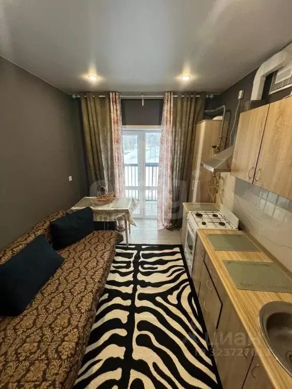 1-к кв. Татарстан, с. Высокая Гора ул. Рождественская, 10А (33.16 м) - Фото 1