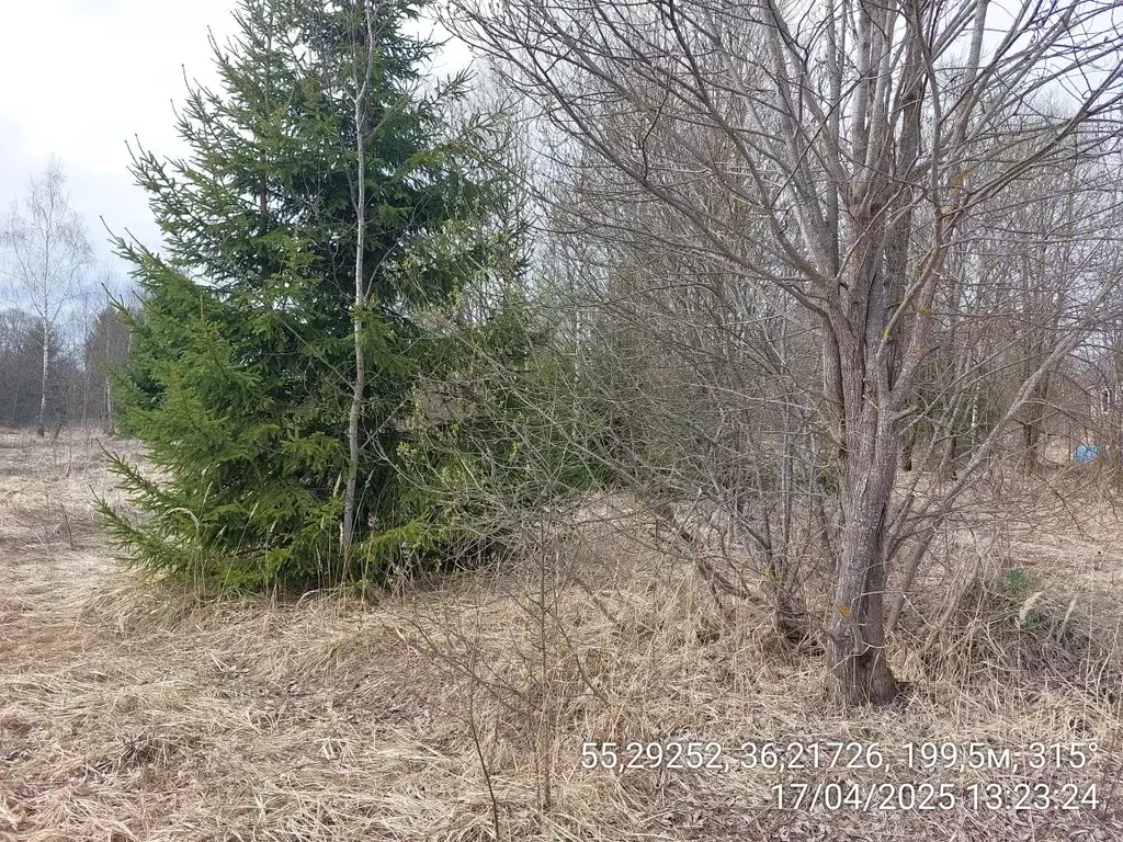 Участок в Московская область, Наро-Фоминский городской округ, д. ... - Фото 1