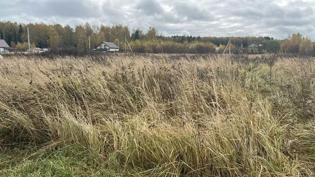 Участок в Московская область, Ступино городской округ, с. Ивановское  ... - Фото 1