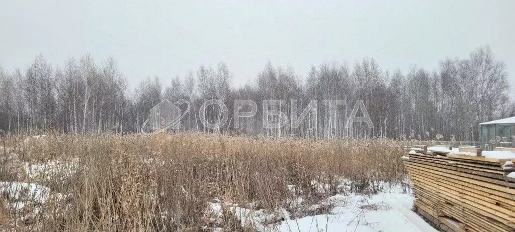 Участок в Тюменская область, Тюмень Автомобилист СНТ, ул. Черемуховая ... - Фото 1
