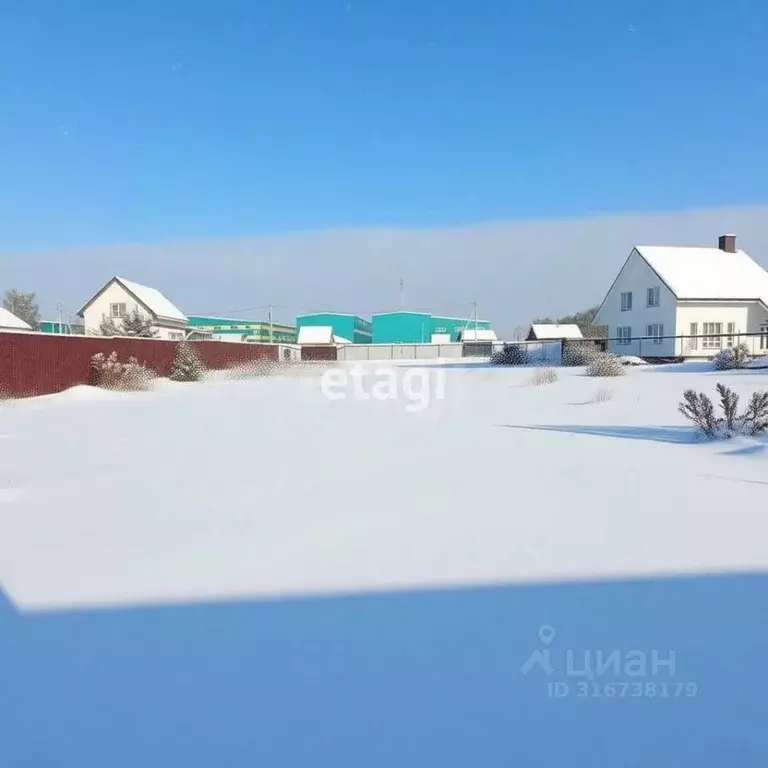 Участок в Владимирская область, Петушинское муниципальное образование, ... - Фото 1