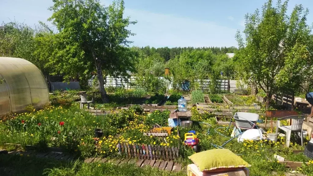 Дом в Челябинская область, Сосновский муниципальный округ, Березка-1 ... - Фото 2