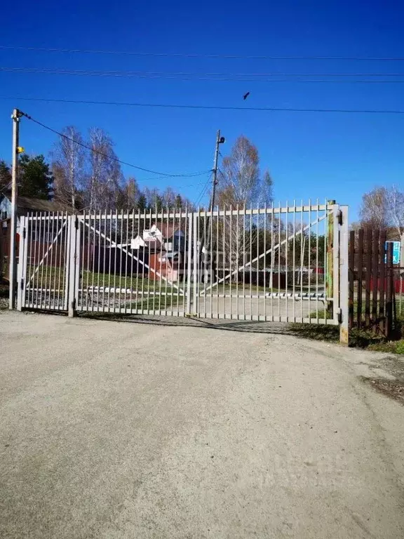 Участок в Новосибирская область, Новосибирский район, Новолуговской ... - Фото 1