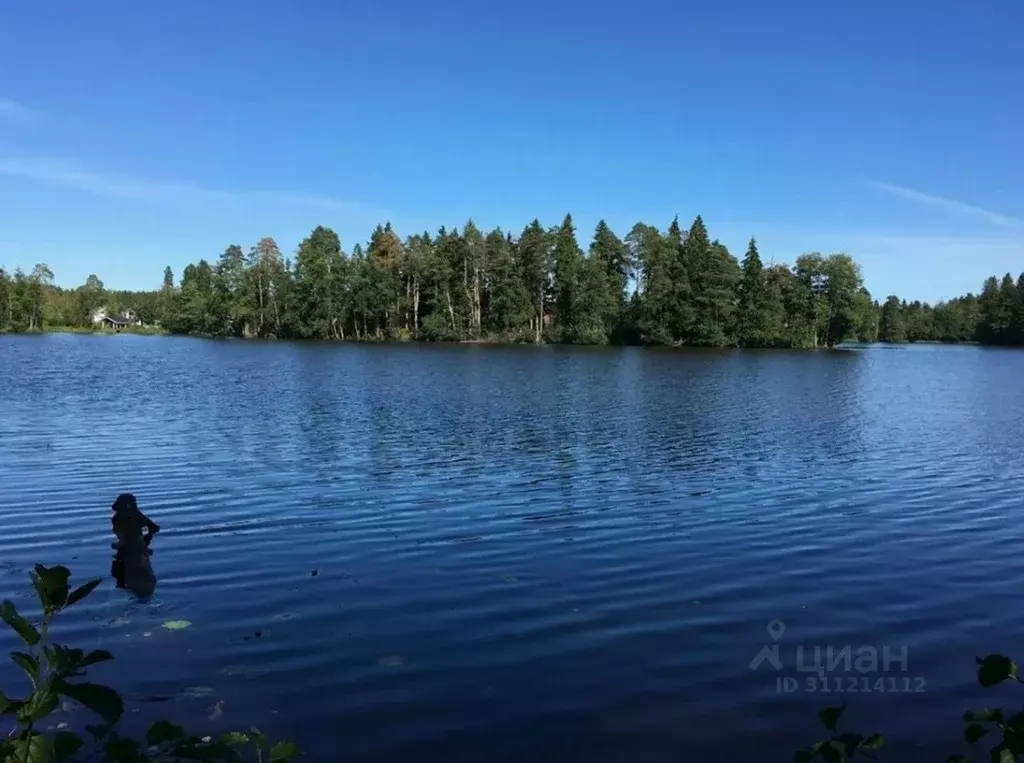 Участок в Ленинградская область, Выборгский район, Рощинское городское ... - Фото 1