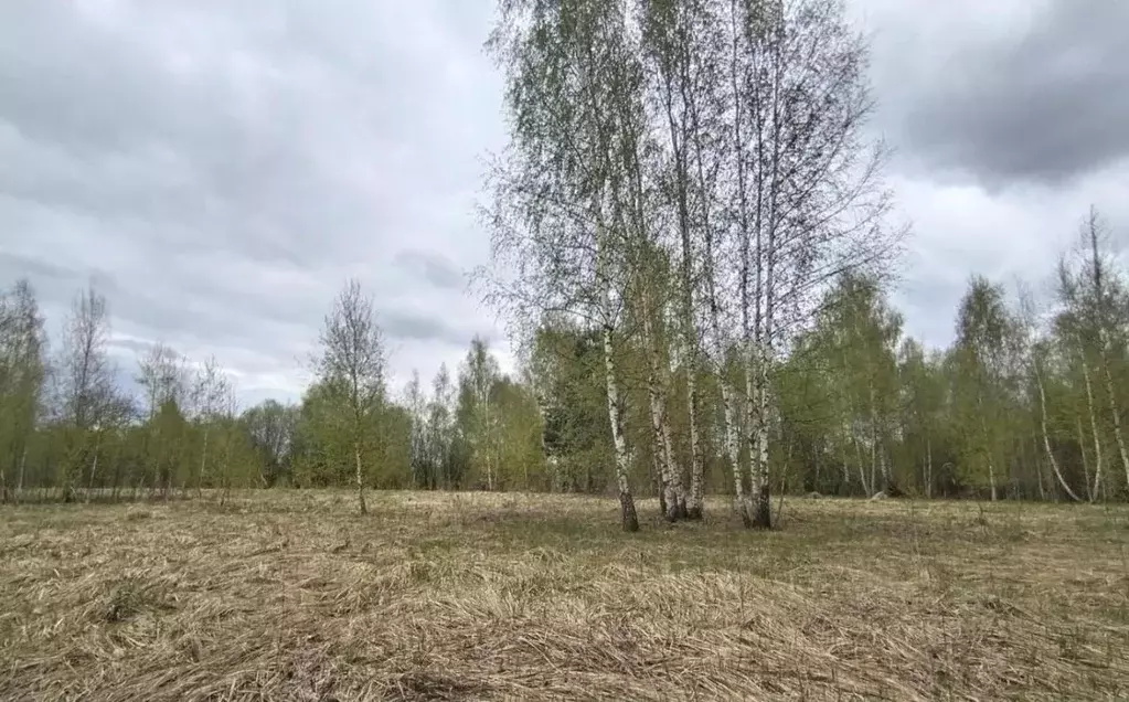 Участок в Московская область, Дмитровский муниципальный округ, д. ... - Фото 0