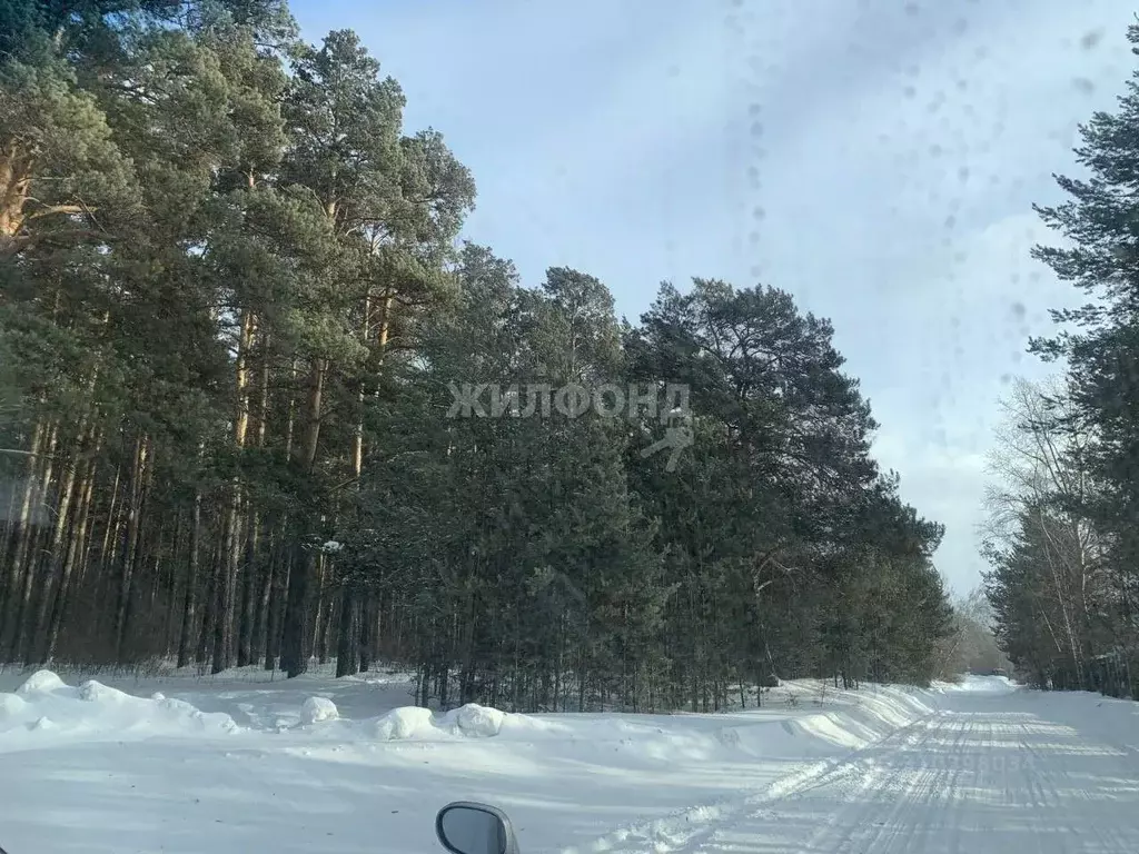 Дом в Новосибирская область, Новосибирский район, Криводановский ... - Фото 0