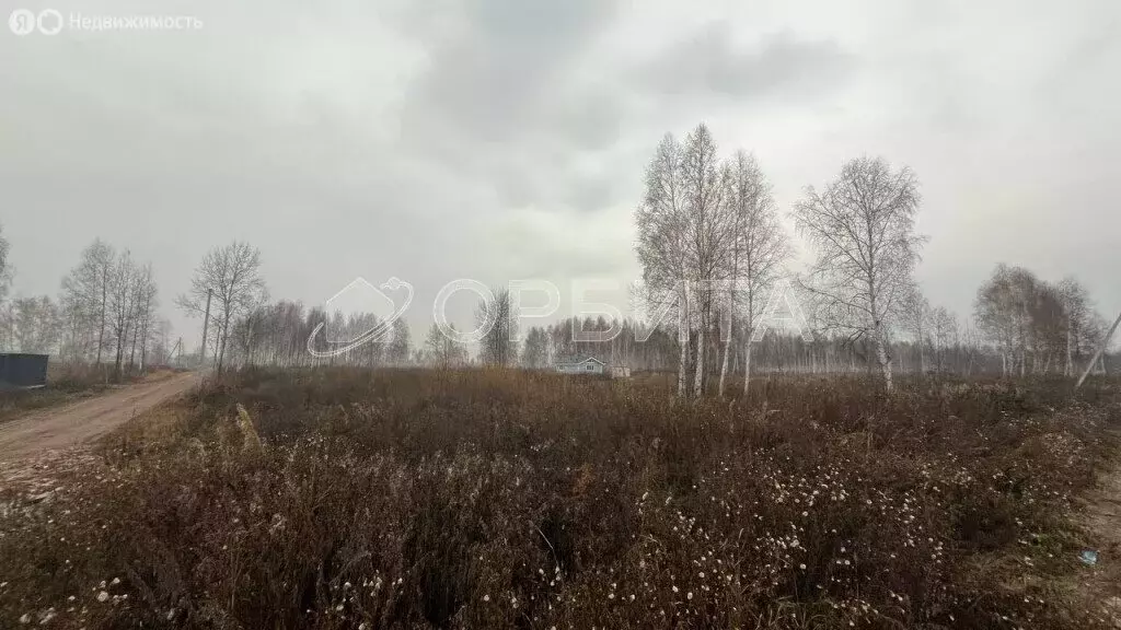 Участок в Тюменская область, Нижнетавдинский муниципальный округ, село ... - Фото 0