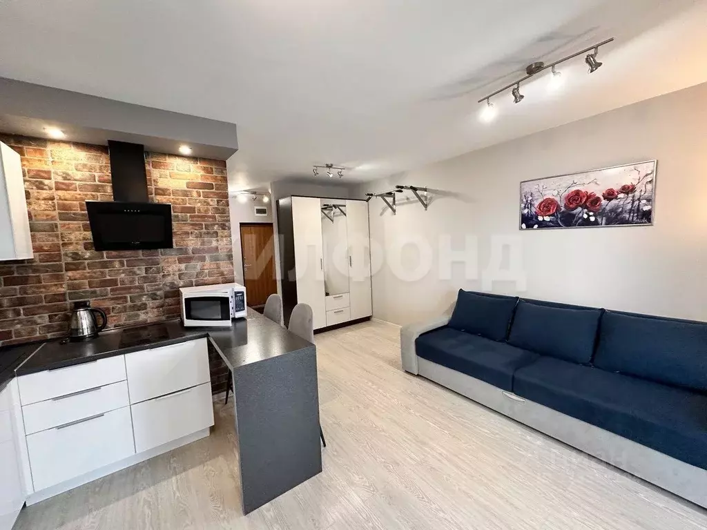 Студия Новосибирская область, Новосибирск ул. Немировича-Данченко, ... - Фото 2