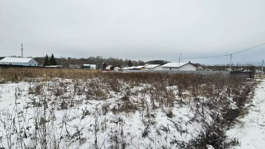 Участок в Московская область, Домодедово городской округ, с. Тишково  ... - Фото 1