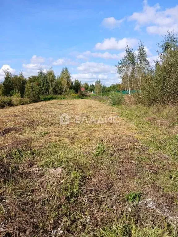 Участок в Ивановская область, Ивановский район, Беляницкое с/пос, с. ... - Фото 2