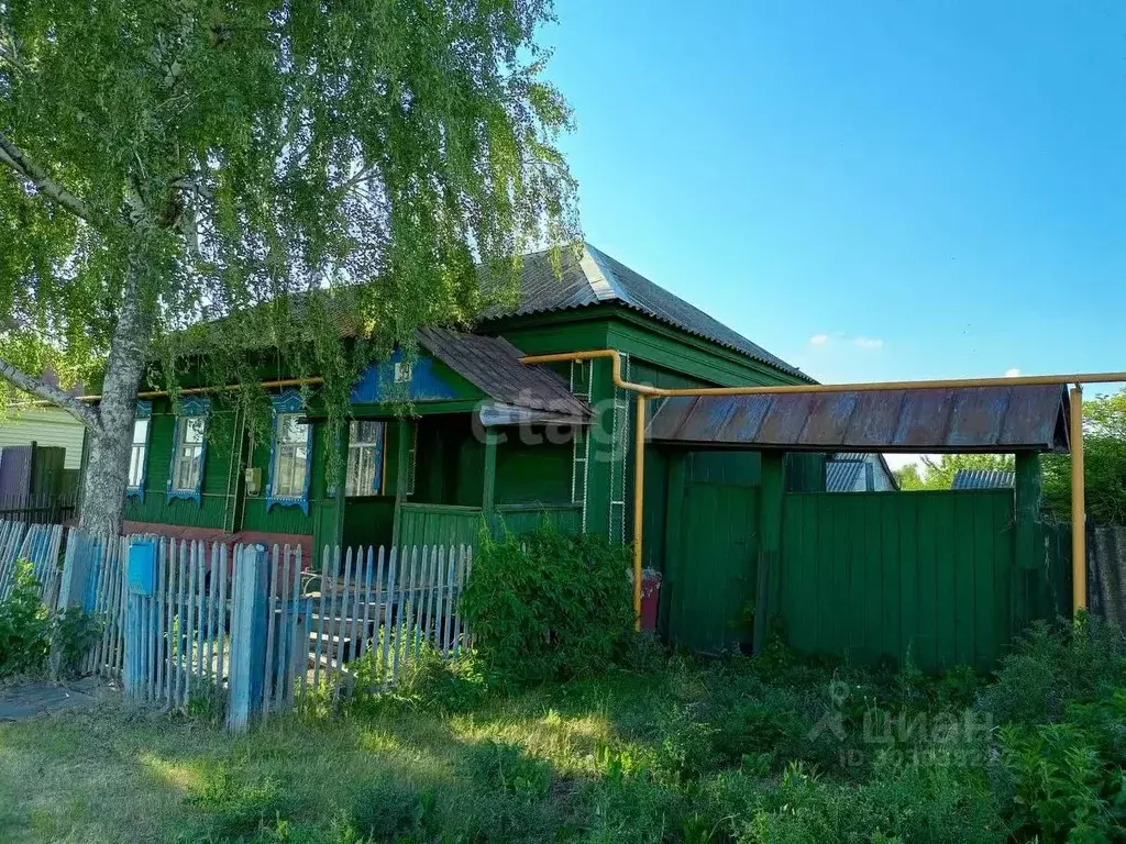 Дом в Воронежская область, Борисоглебск ул. 40 лет Октября, 99 (35 м) - Фото 0