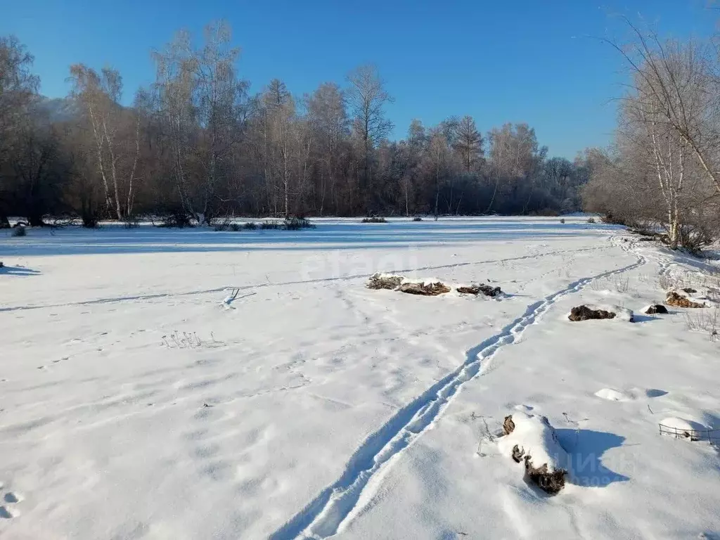 Участок в Алтай, Онгудайский район, с. Хабаровка  (69.0 сот.) - Фото 1