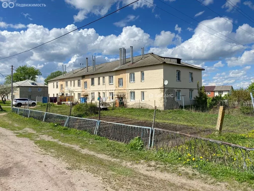 3-комнатная квартира: село Октябрьское, Новая улица, 7 (53.5 м) - Фото 0