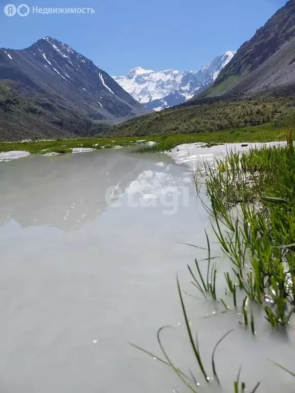 Участок в Усть-Коксинский район, посёлок Кучерла (19 м) - Фото 1