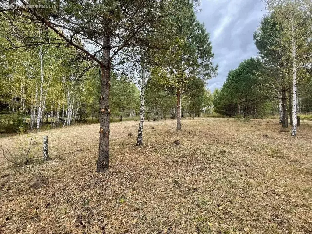 Участок в Морозово, Сосновая улица (15 м) - Фото 1