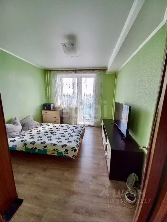 Студия Мордовия, Саранск Волгоградская ул., 62 (32.6 м) - Фото 0