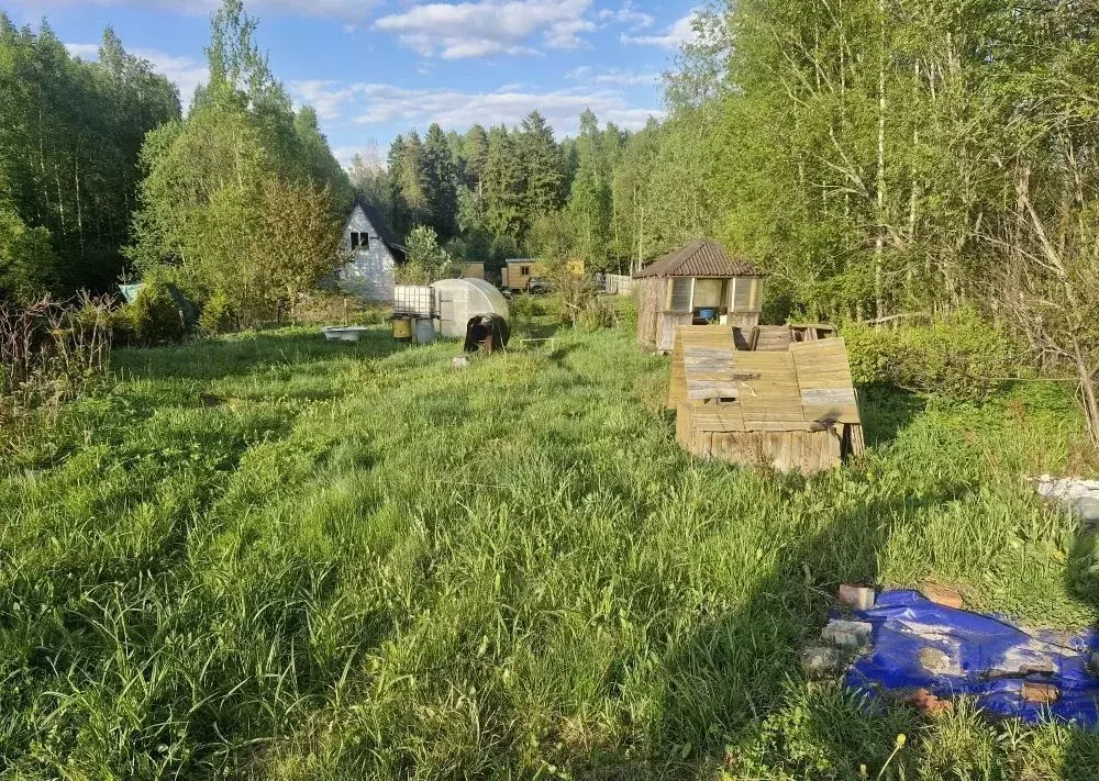 Участок в Ленинградская область, Выборгский район, Советское городское ... - Фото 2