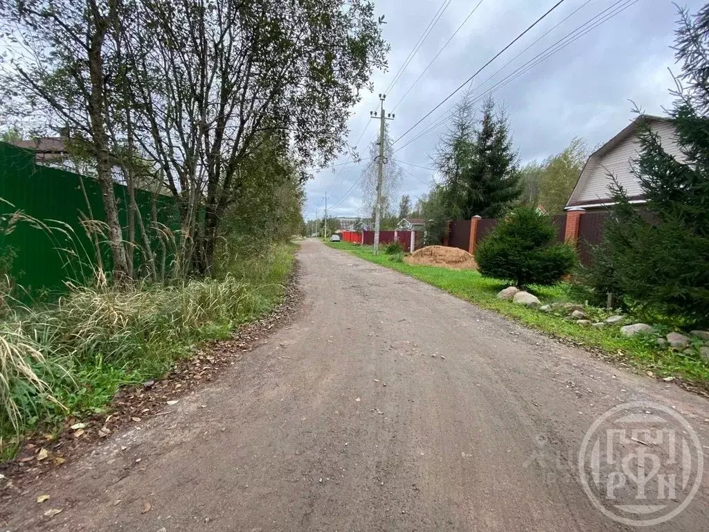 Участок в Ленинградская область, Ломоносовский район, Пениковское ... - Фото 1