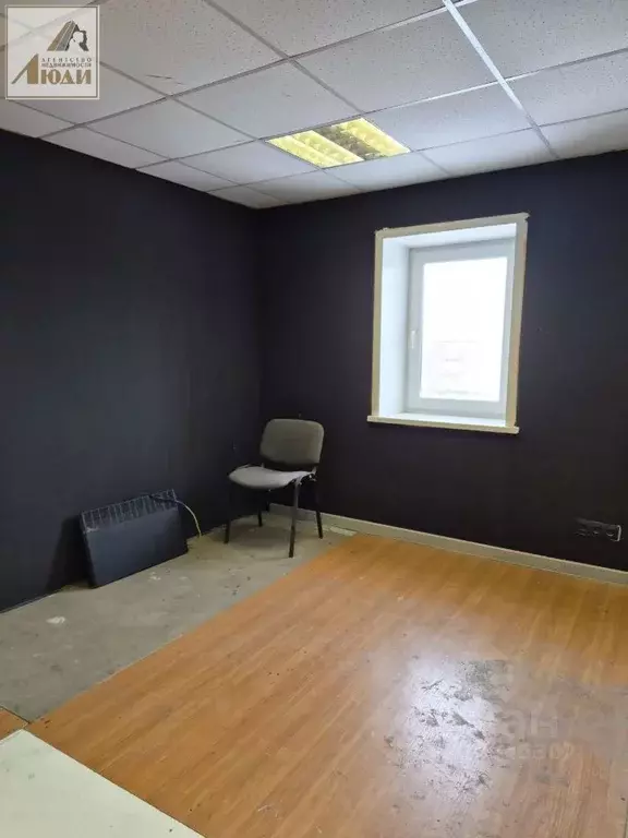 Помещение свободного назначения в Новосибирская область, Новосибирск ... - Фото 1