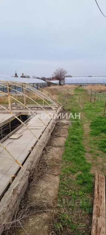 Участок в Ростовская область, Октябрьский район, Кривянское с/пос, ... - Фото 1