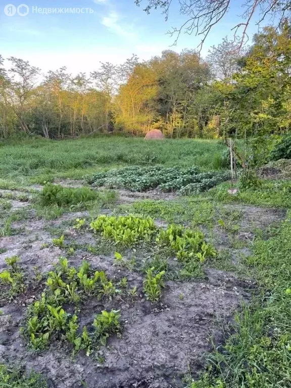 Дом в село Орбельяновка, Базарная улица (95 м) - Фото 2