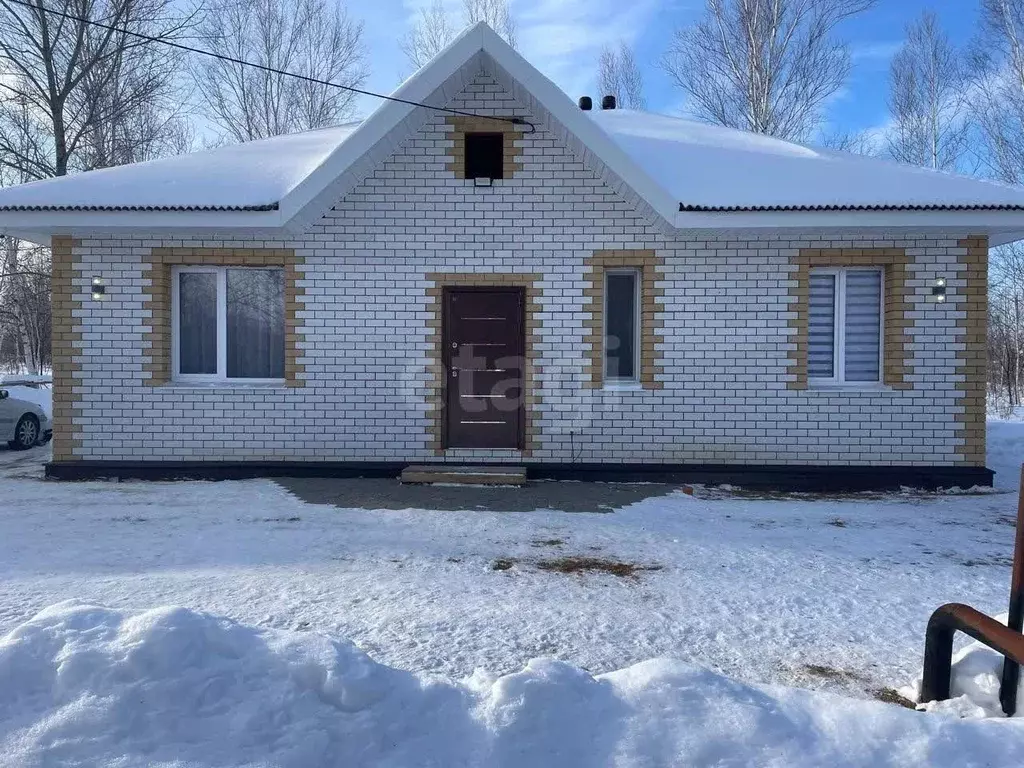 Дом в Амурская область, Благовещенский район, с. Чигири ул. ... - Фото 1